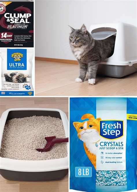 best odor control cat litter|world's best kitty litter.